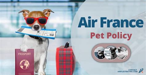 air france pet transportation policy.